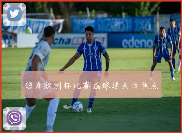 想看欧洲杯比赛成球迷关注焦点